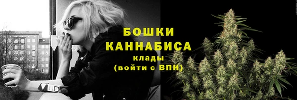 ГАЛЛЮЦИНОГЕННЫЕ ГРИБЫ Богданович