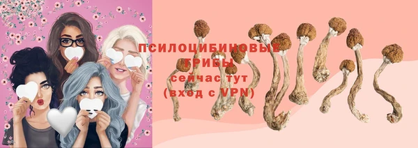 героин Болотное
