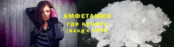 ГАЛЛЮЦИНОГЕННЫЕ ГРИБЫ Богданович