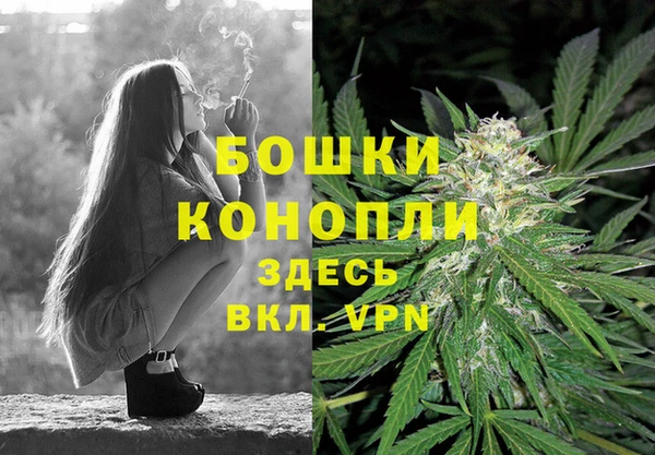 ПСИЛОЦИБИНОВЫЕ ГРИБЫ Валдай