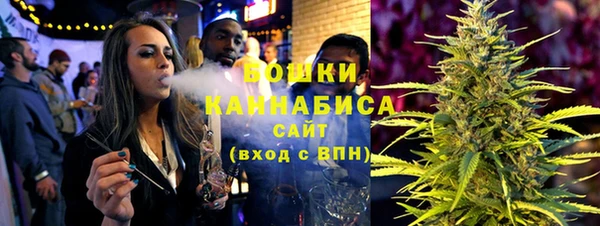 СК Богородск